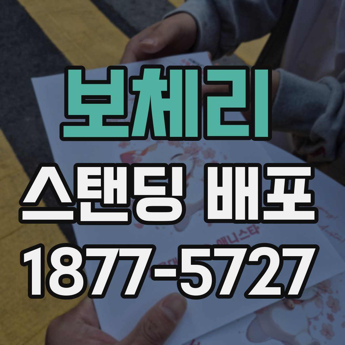보체리 스탠딩 배포