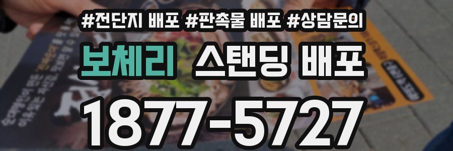 보체리 스탠딩 배포