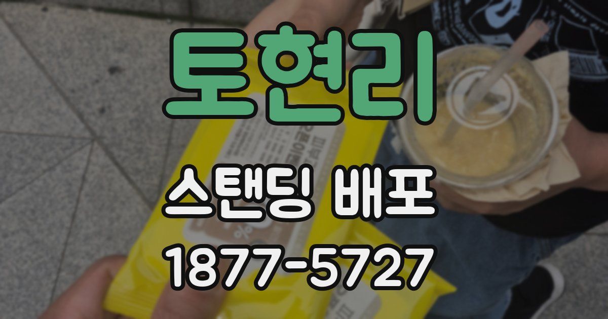 토현리 스탠딩 배포