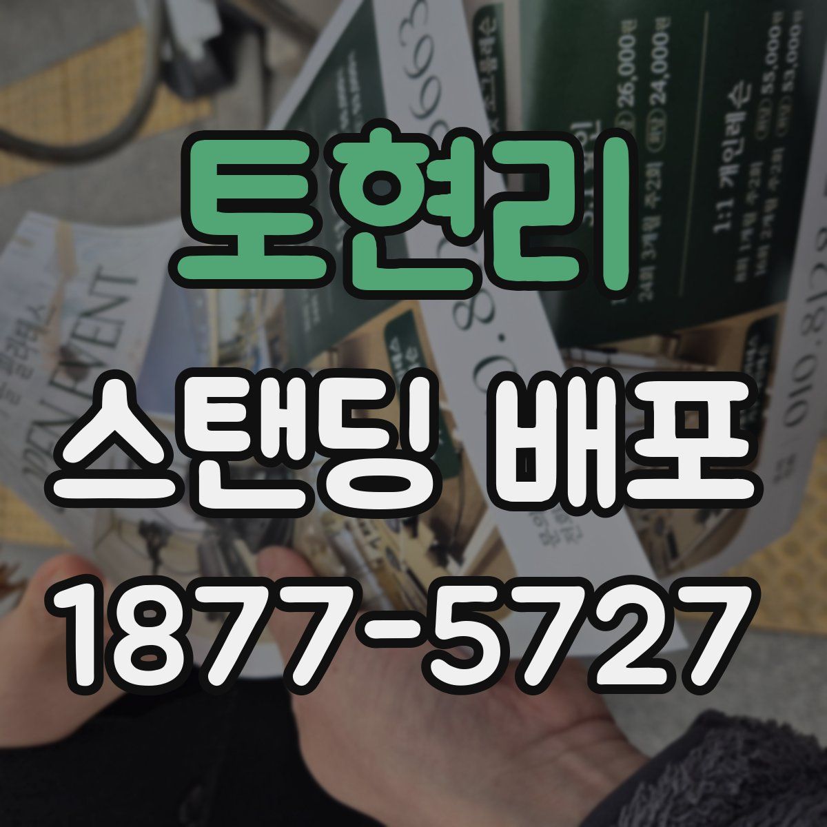 토현리 스탠딩 배포