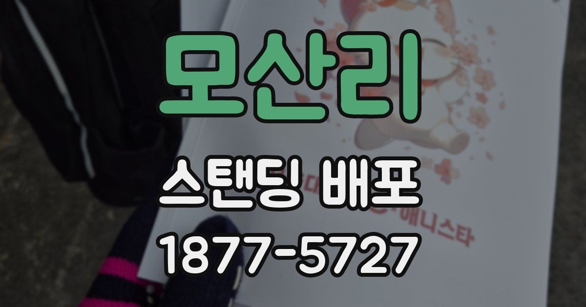 모산리 스탠딩 배포