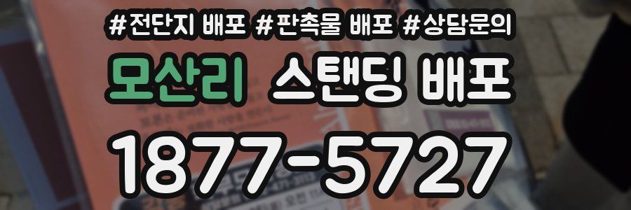 모산리 스탠딩 배포