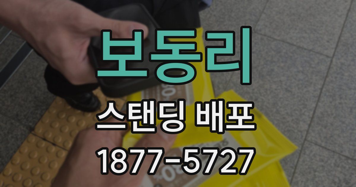 보동리 스탠딩 배포