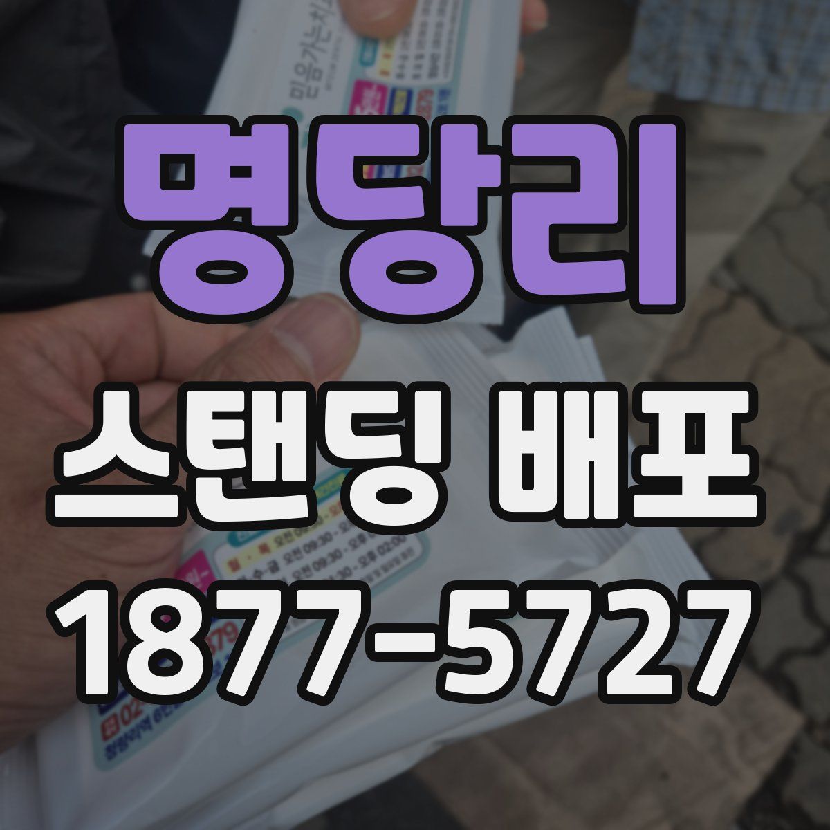 명당리 스탠딩 배포