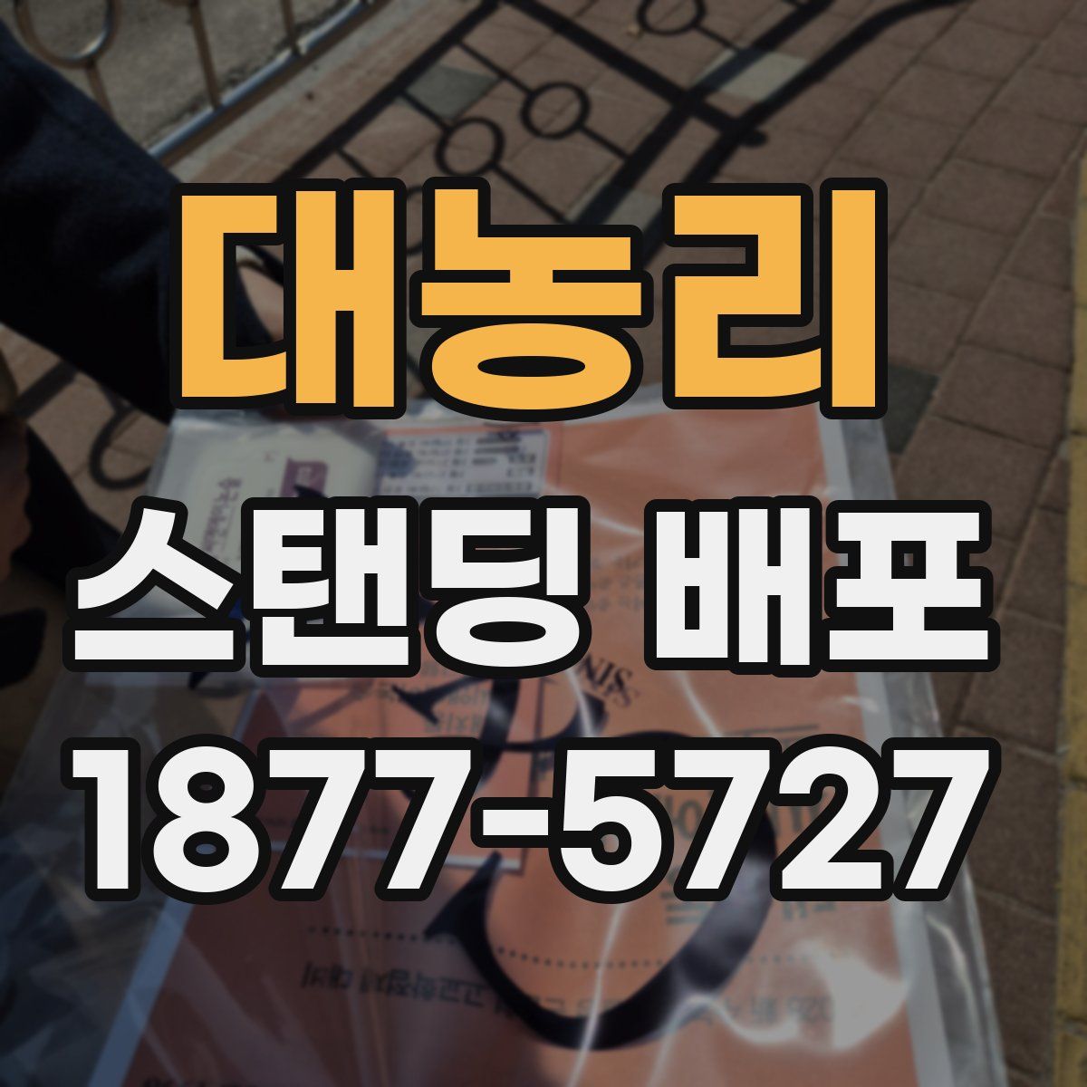 대농리 스탠딩 배포