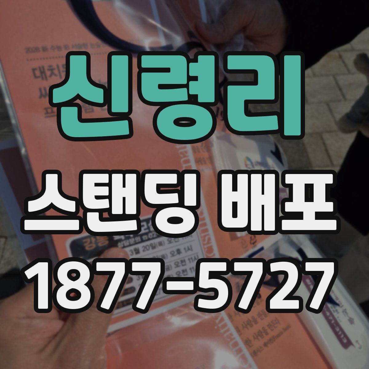 신령리 스탠딩 배포