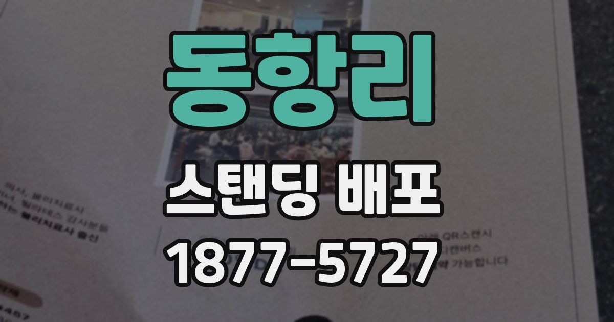 동항리 스탠딩 배포