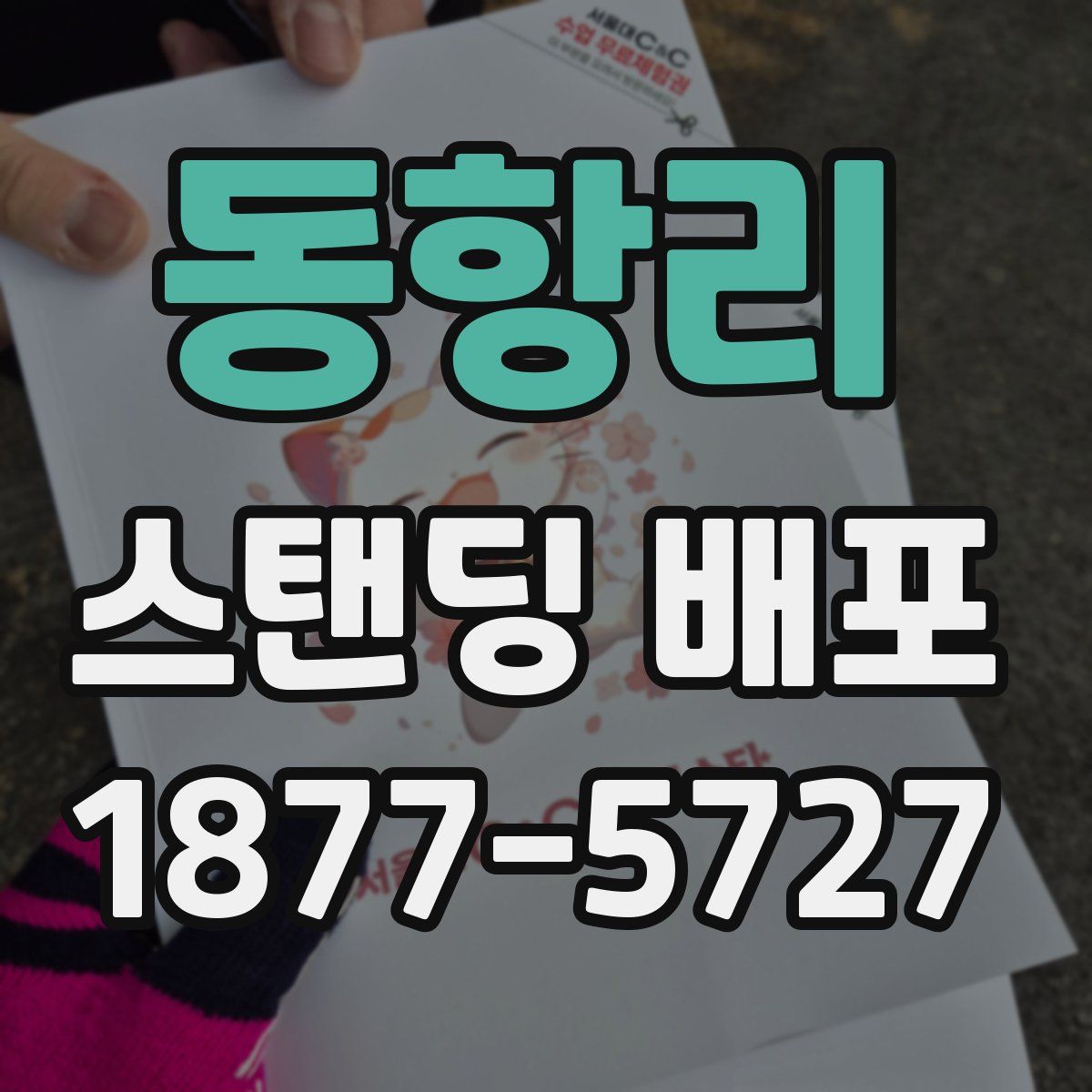 동항리 스탠딩 배포