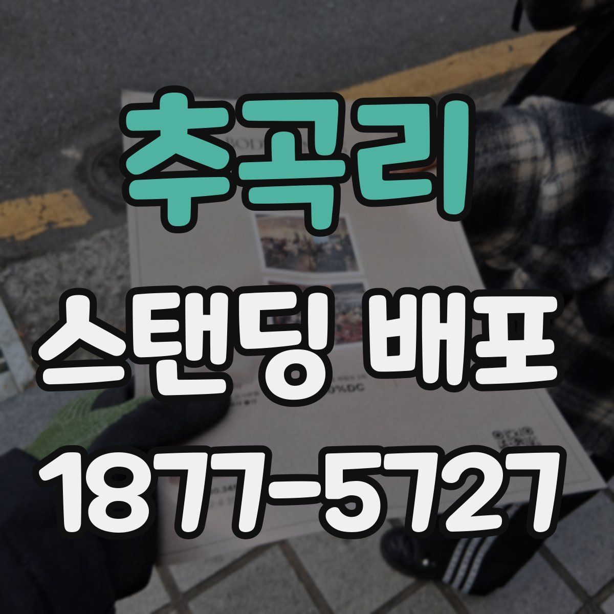 추곡리 스탠딩 배포