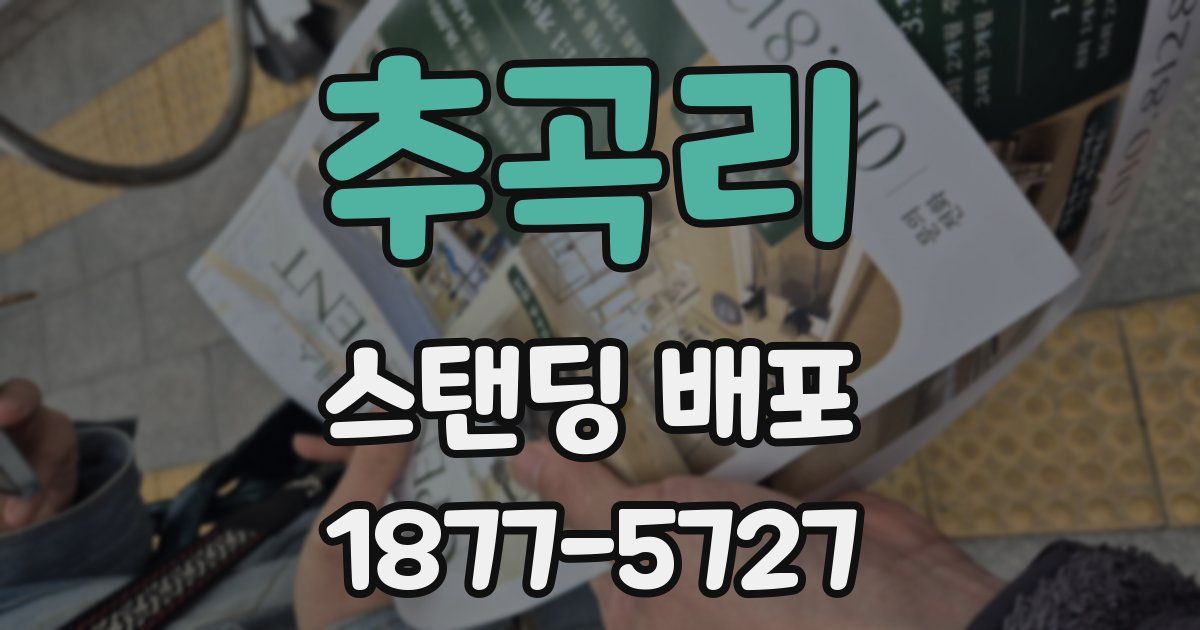 추곡리 스탠딩 배포