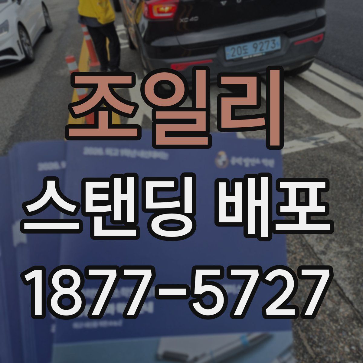 조일리 스탠딩 배포