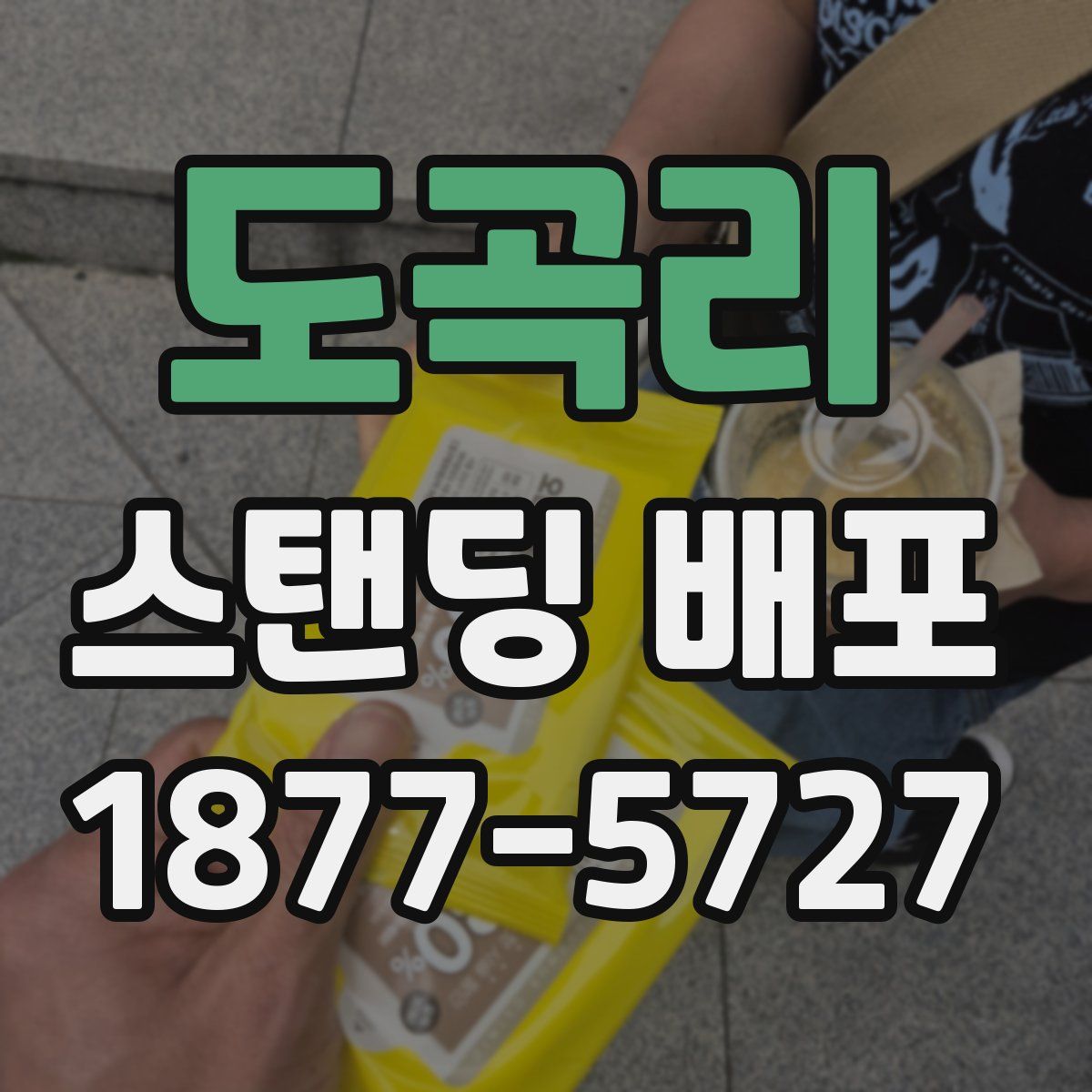 도곡리 스탠딩 배포