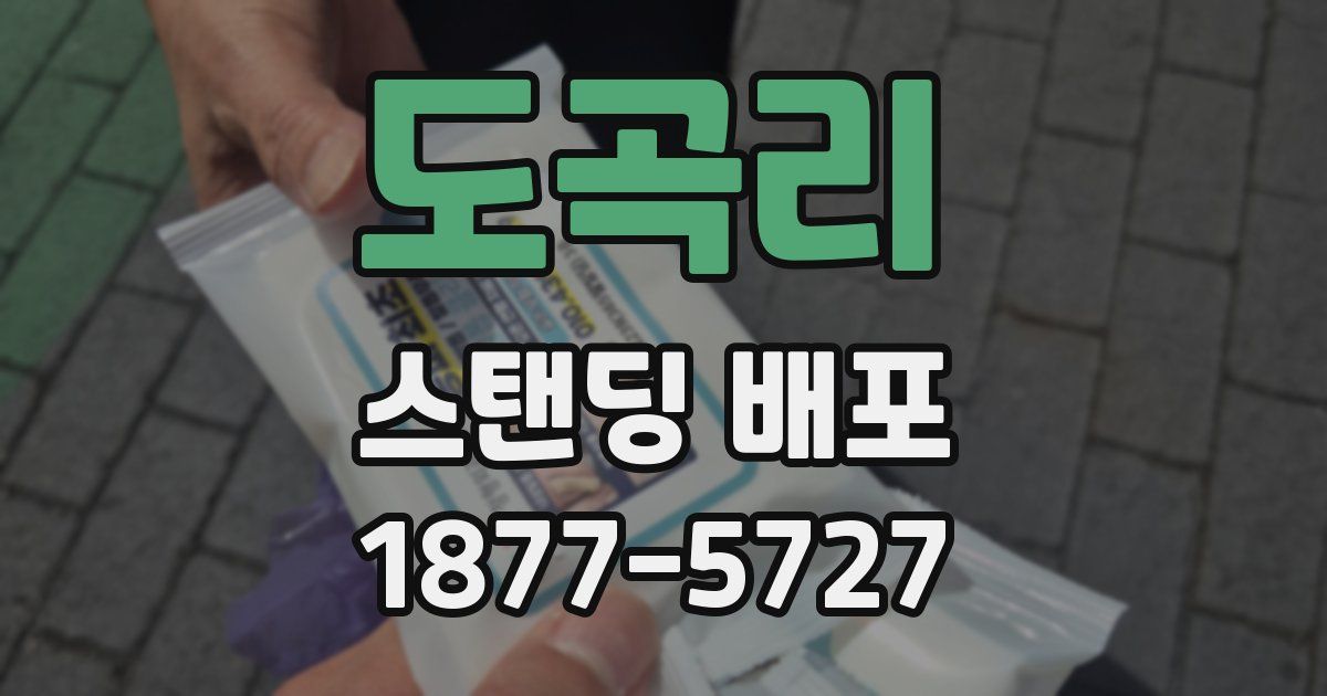 도곡리 스탠딩 배포