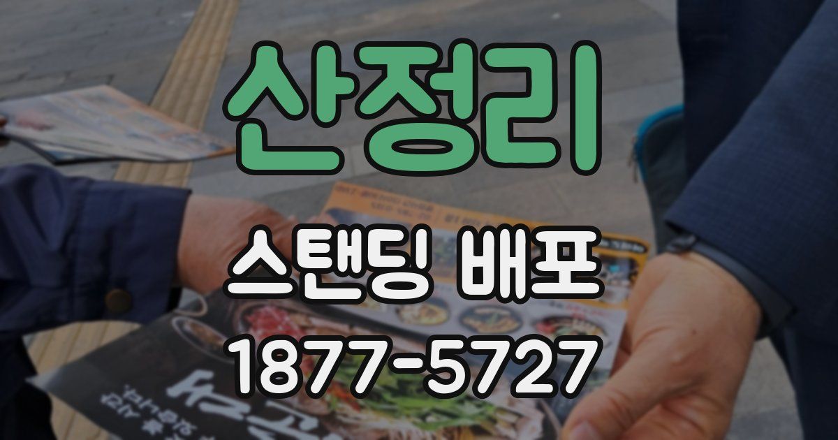 산정리 스탠딩 배포