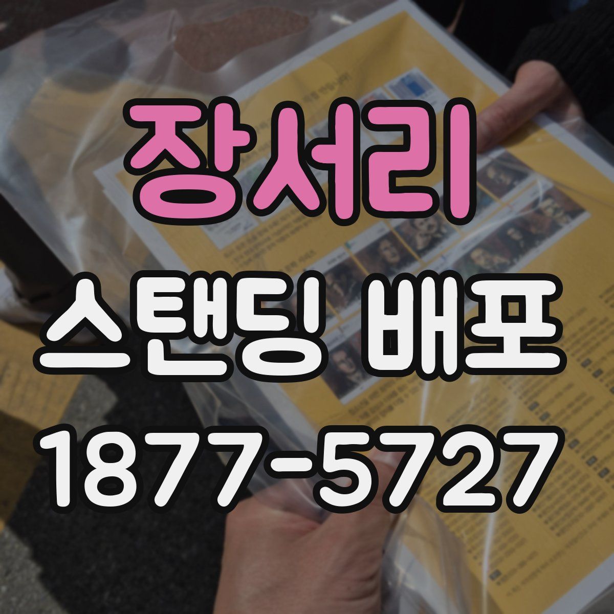 장서리 스탠딩 배포