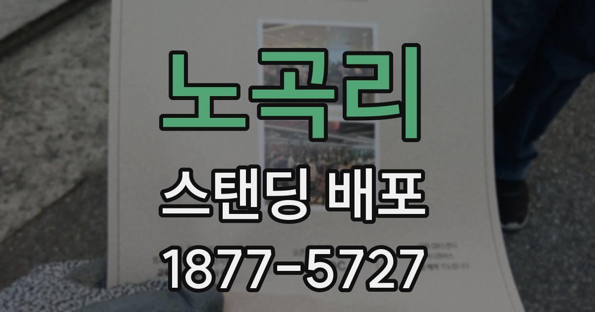 노곡리 스탠딩 배포