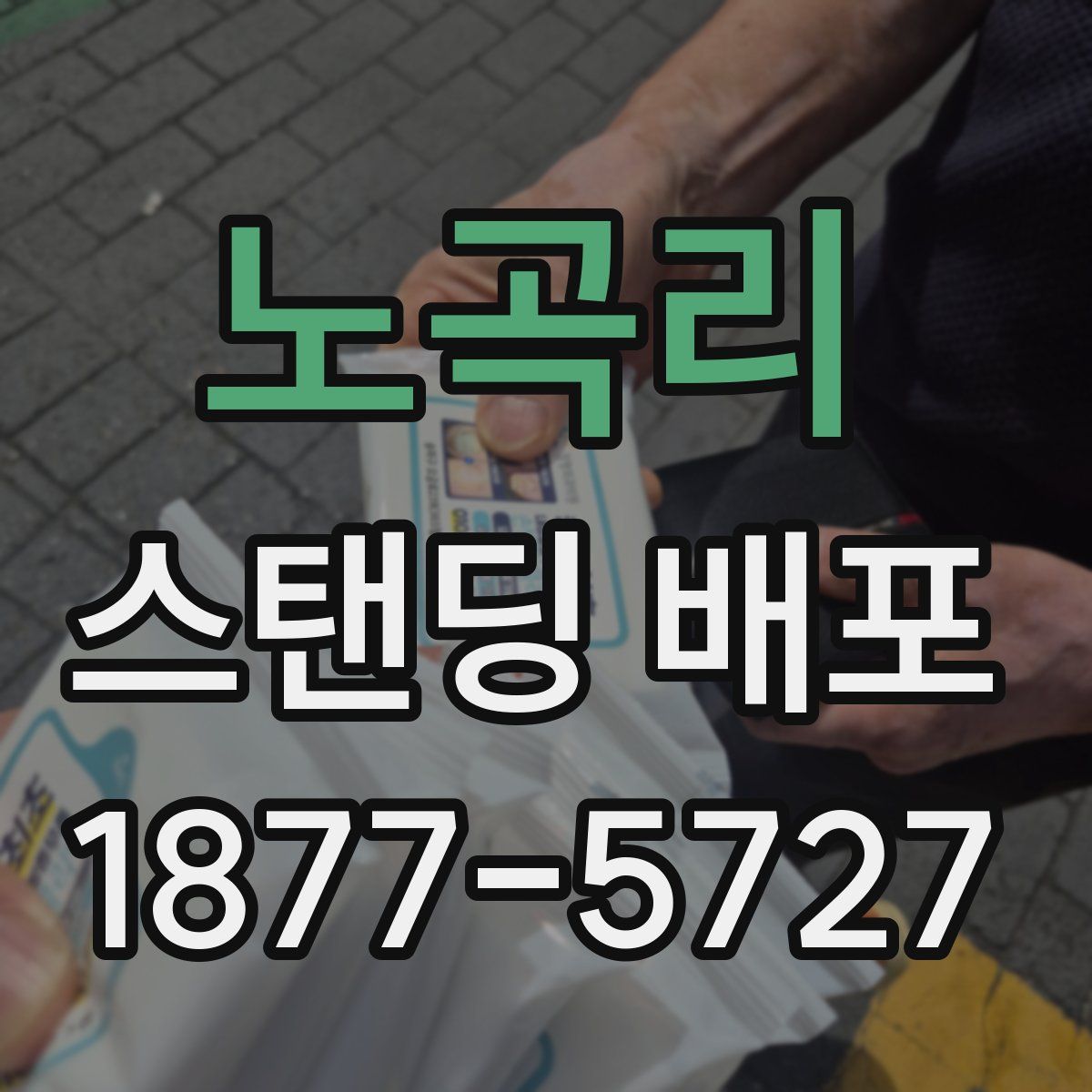 노곡리 스탠딩 배포