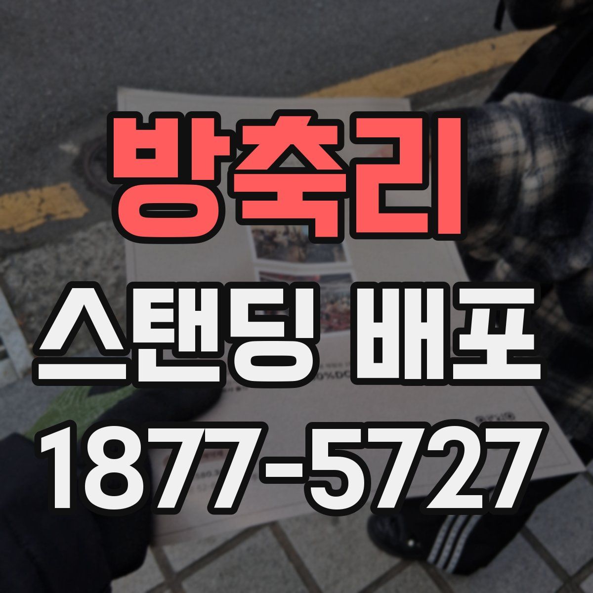 방축리 스탠딩 배포