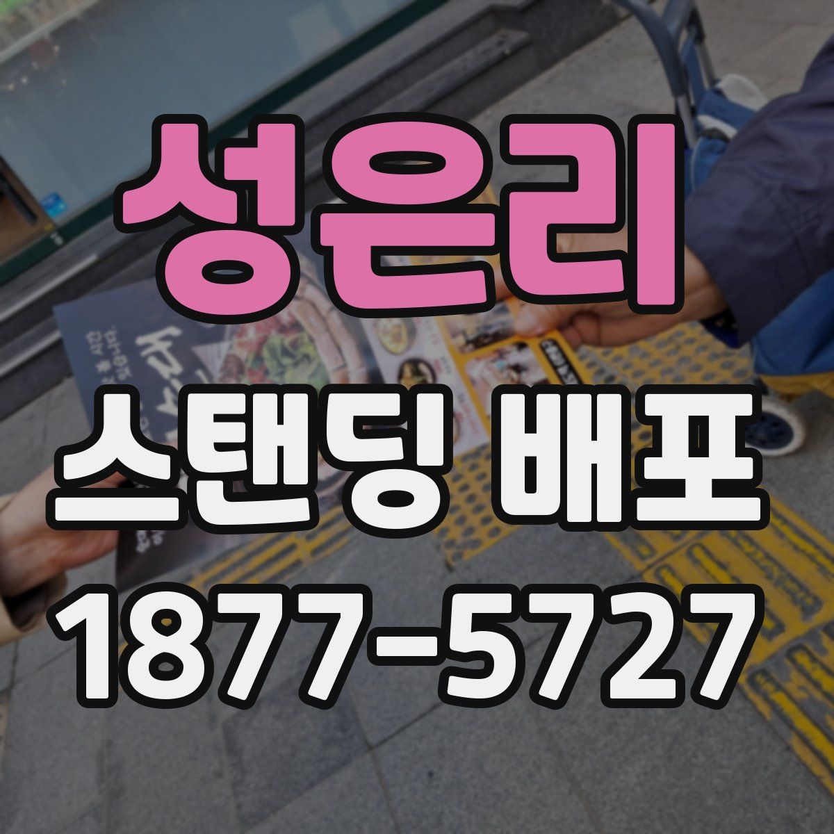 성은리 스탠딩 배포