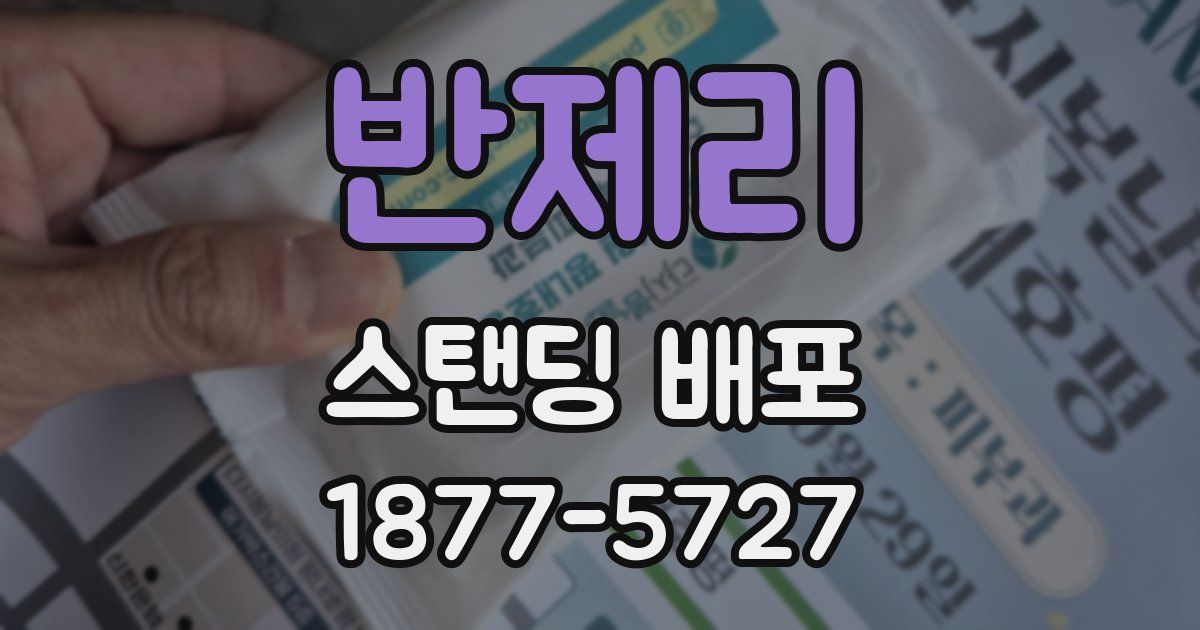 반제리 스탠딩 배포