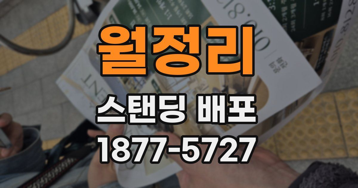 월정리 스탠딩 배포