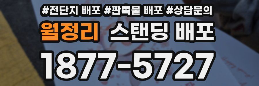 월정리 스탠딩 배포