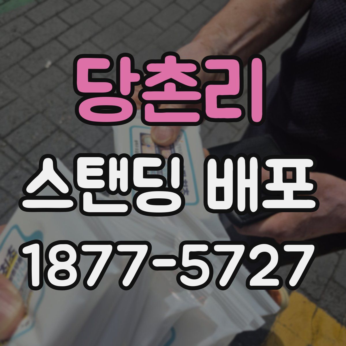 당촌리 스탠딩 배포