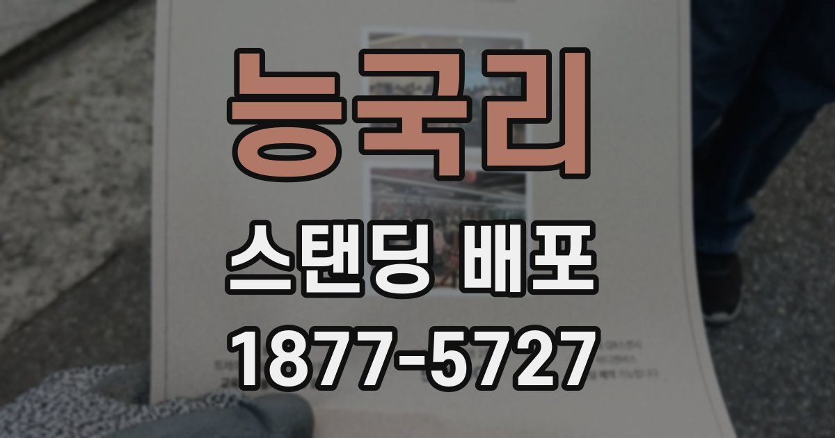 능국리 스탠딩 배포