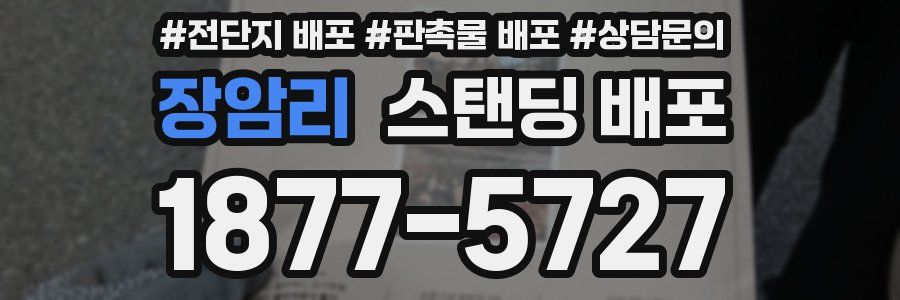 장암리 스탠딩 배포