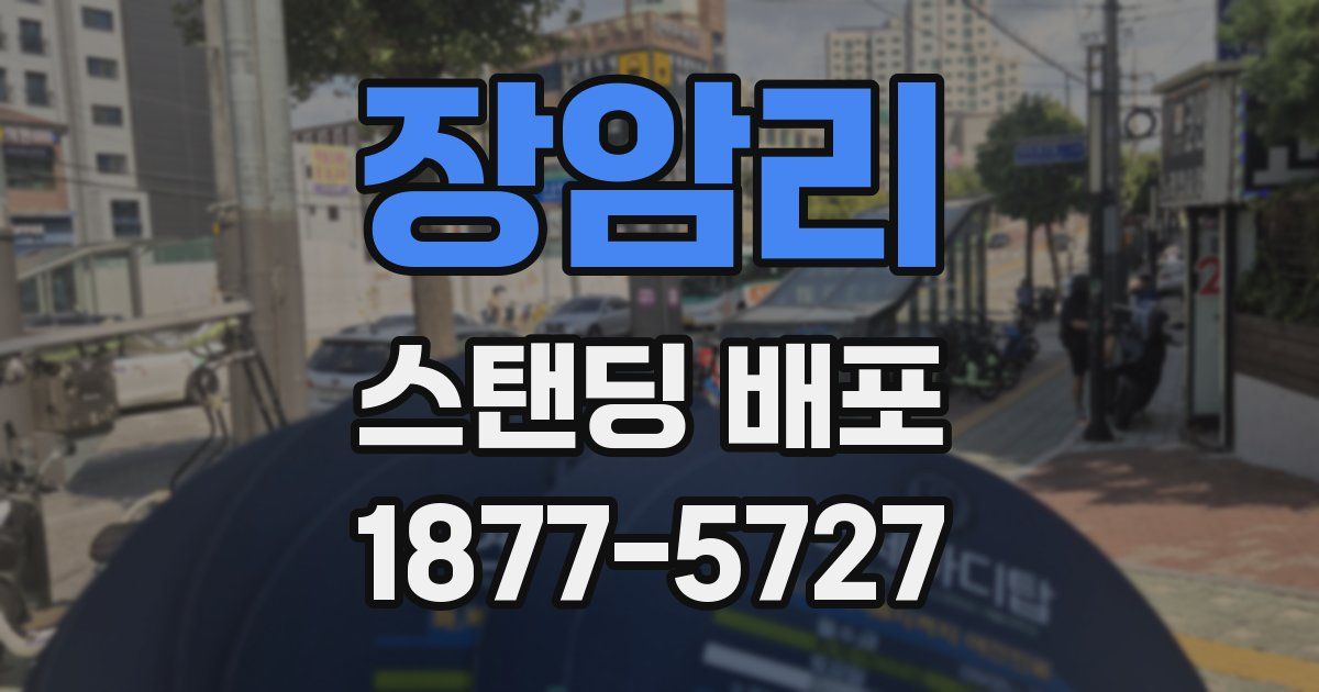 장암리 스탠딩 배포
