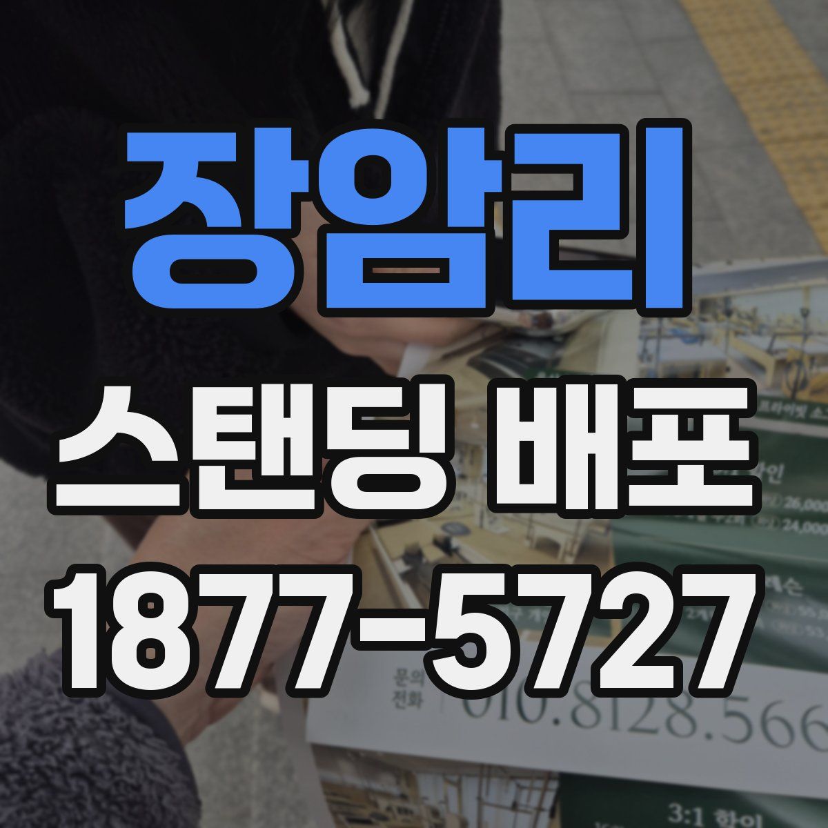 장암리 스탠딩 배포