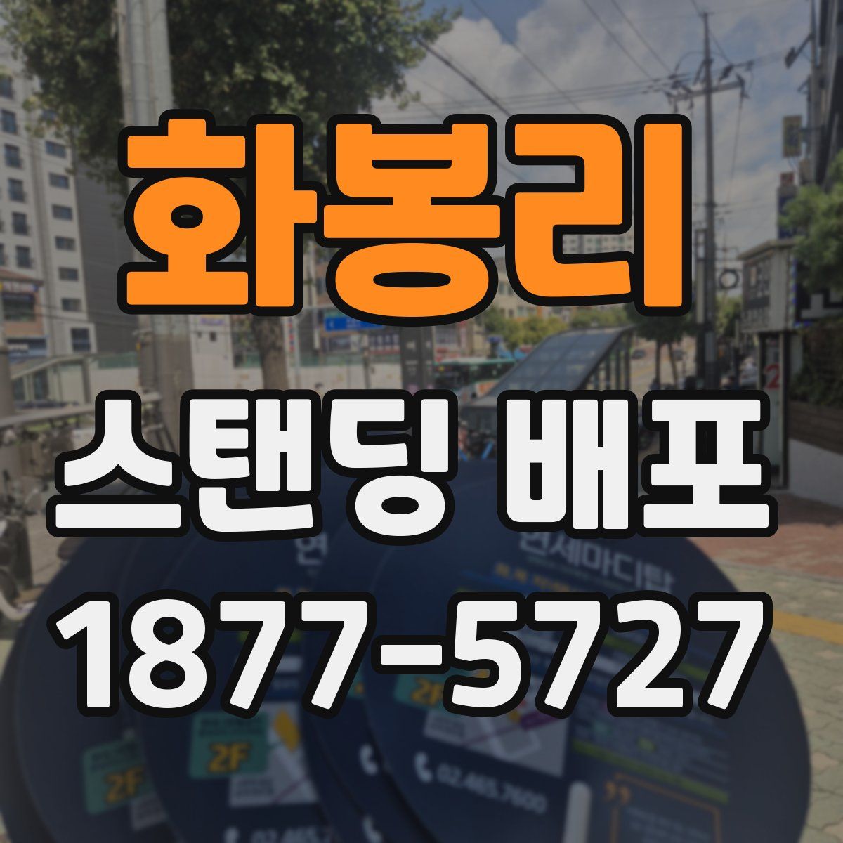 화봉리 스탠딩 배포