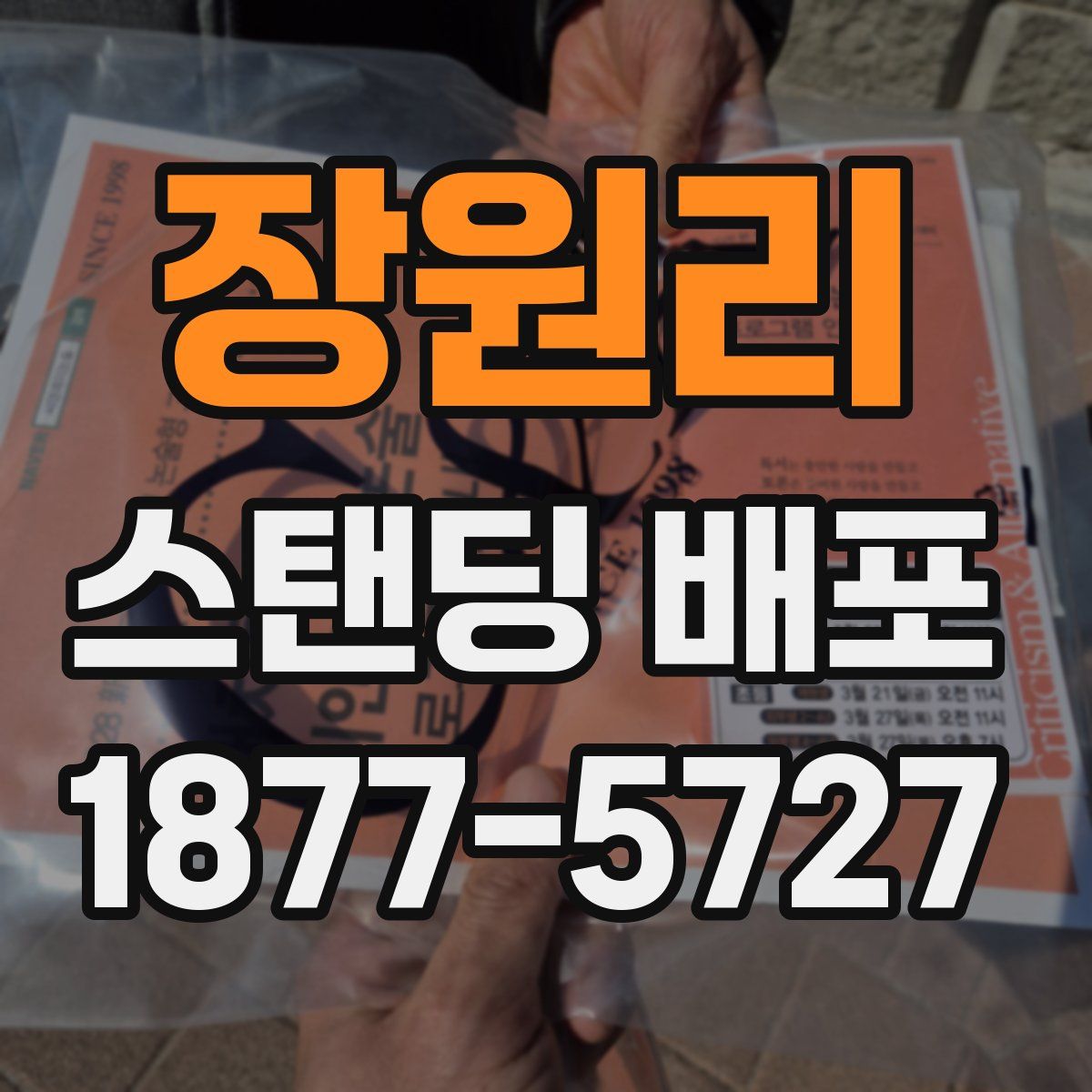 장원리 스탠딩 배포