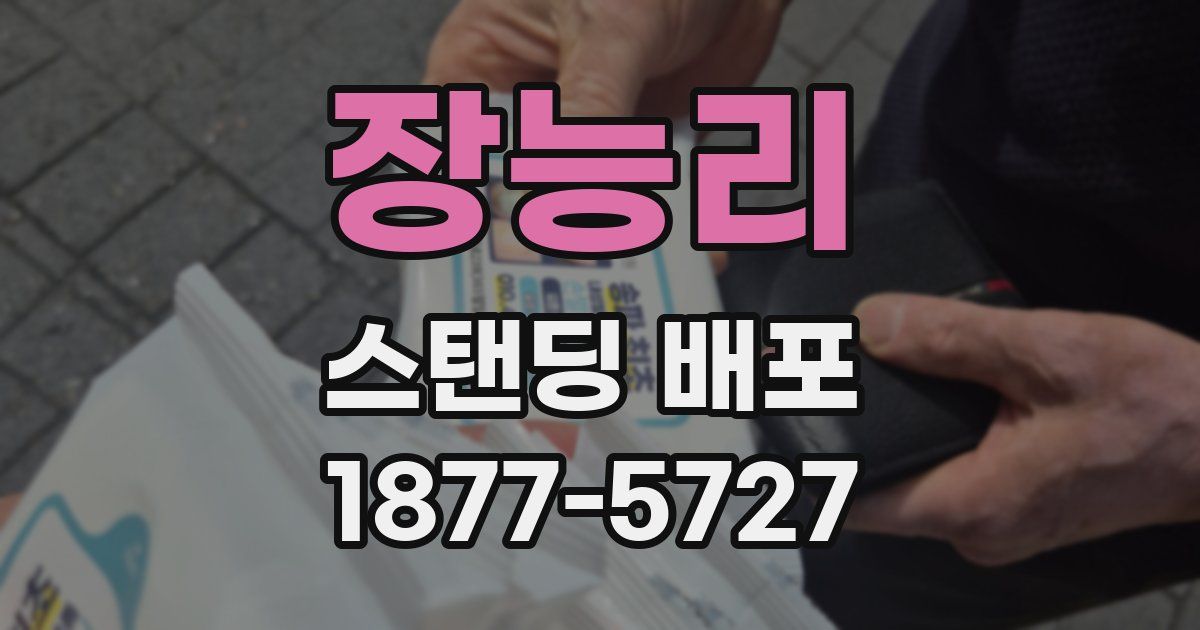 장능리 스탠딩 배포