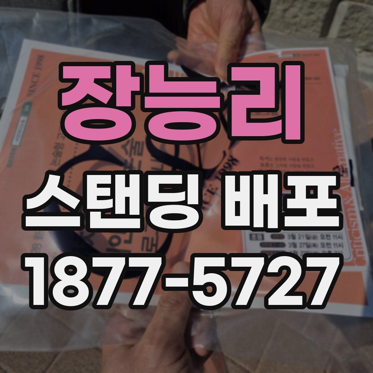 장능리 스탠딩 배포