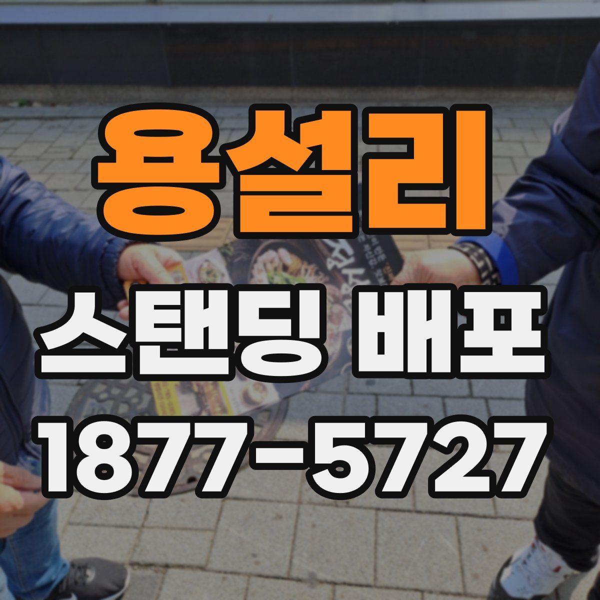 용설리 스탠딩 배포
