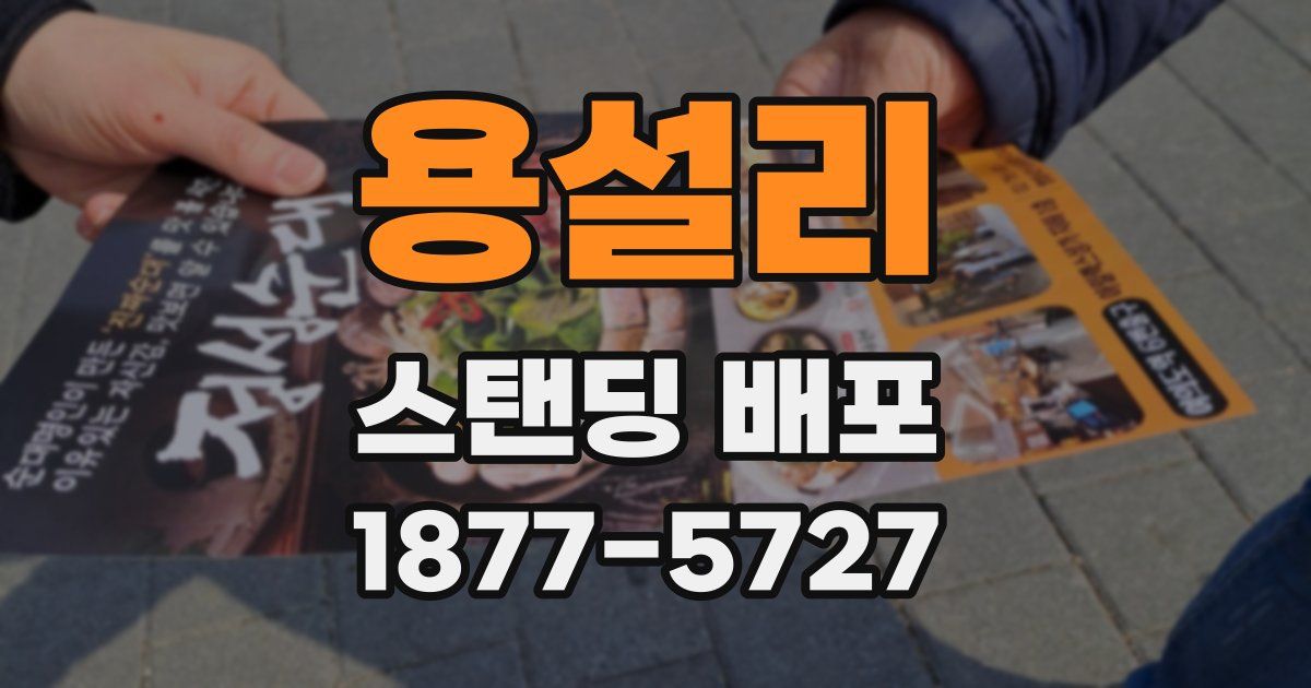 용설리 스탠딩 배포