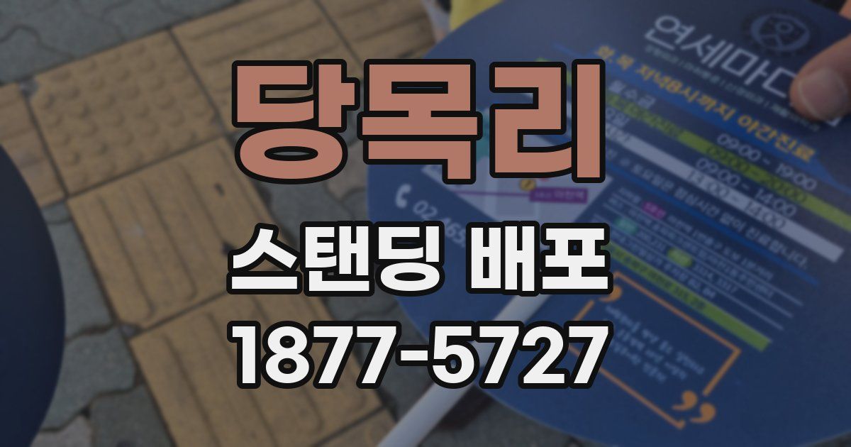 당목리 스탠딩 배포