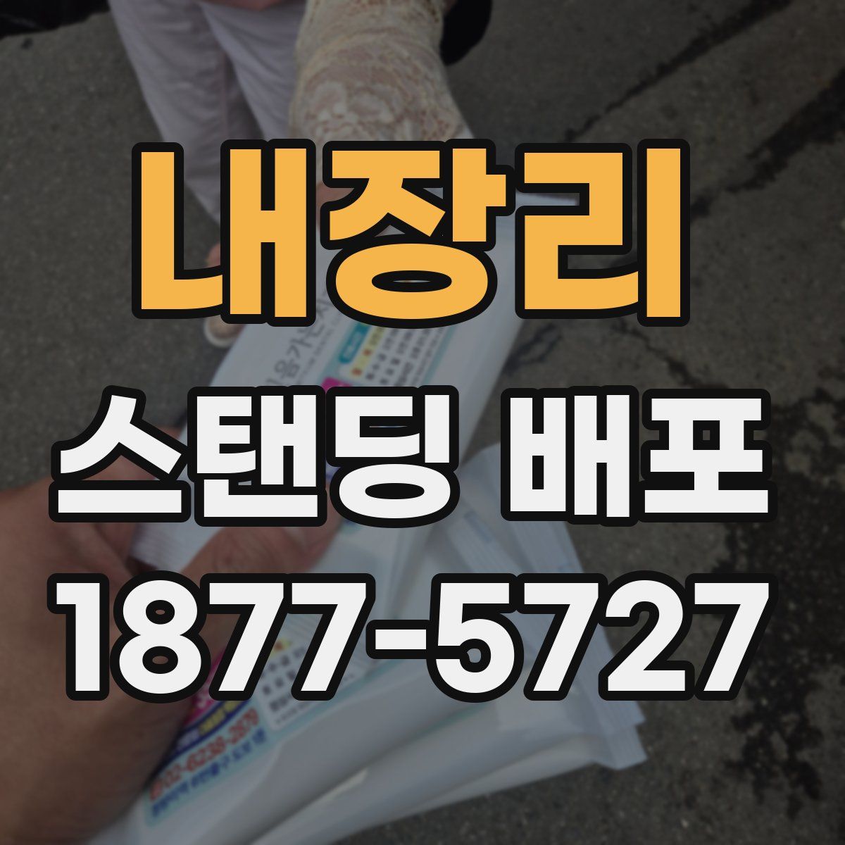 내장리 스탠딩 배포