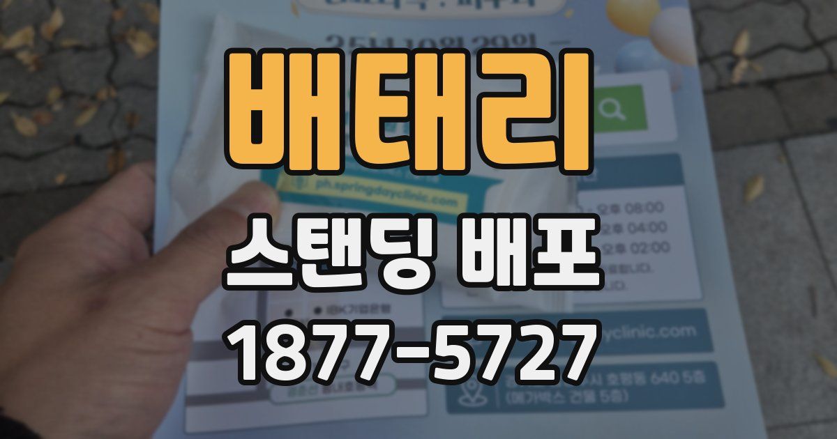 배태리 스탠딩 배포