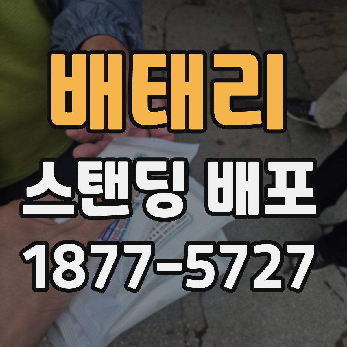 배태리 스탠딩 배포