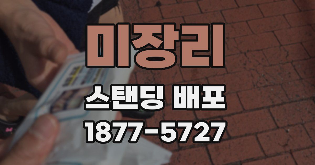 미장리 스탠딩 배포