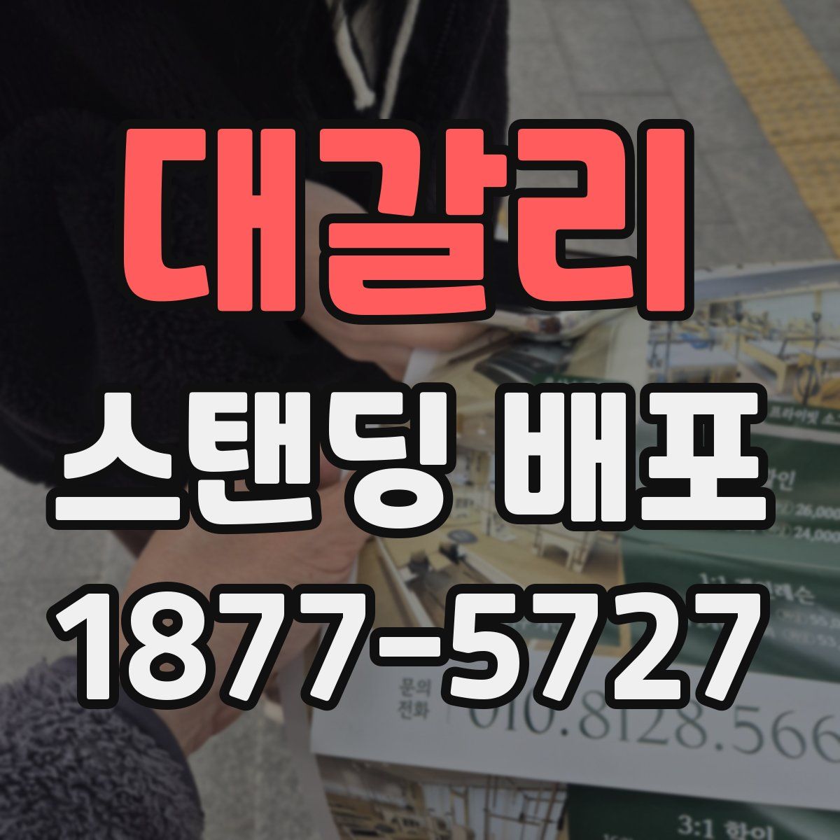 대갈리 스탠딩 배포
