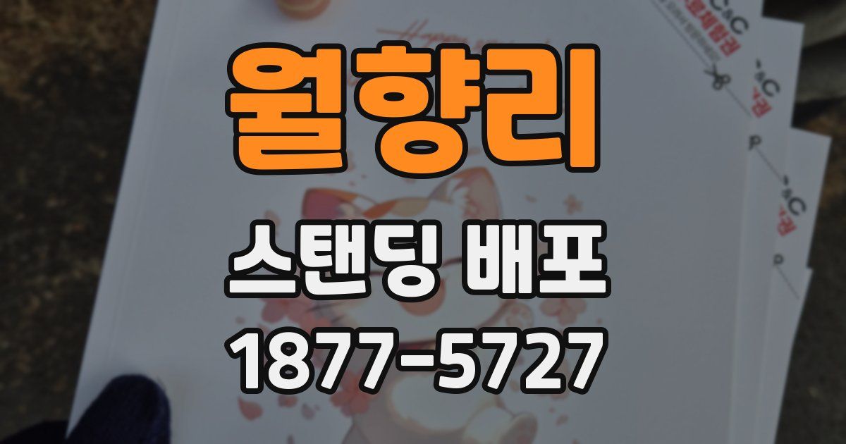 월향리 스탠딩 배포