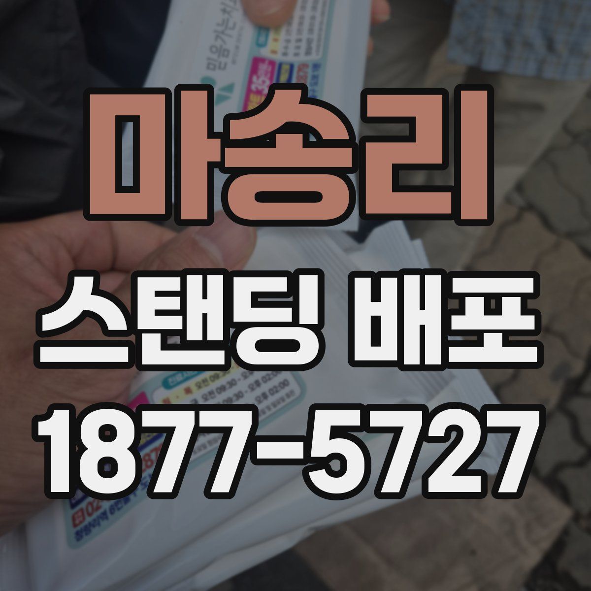 마송리 스탠딩 배포