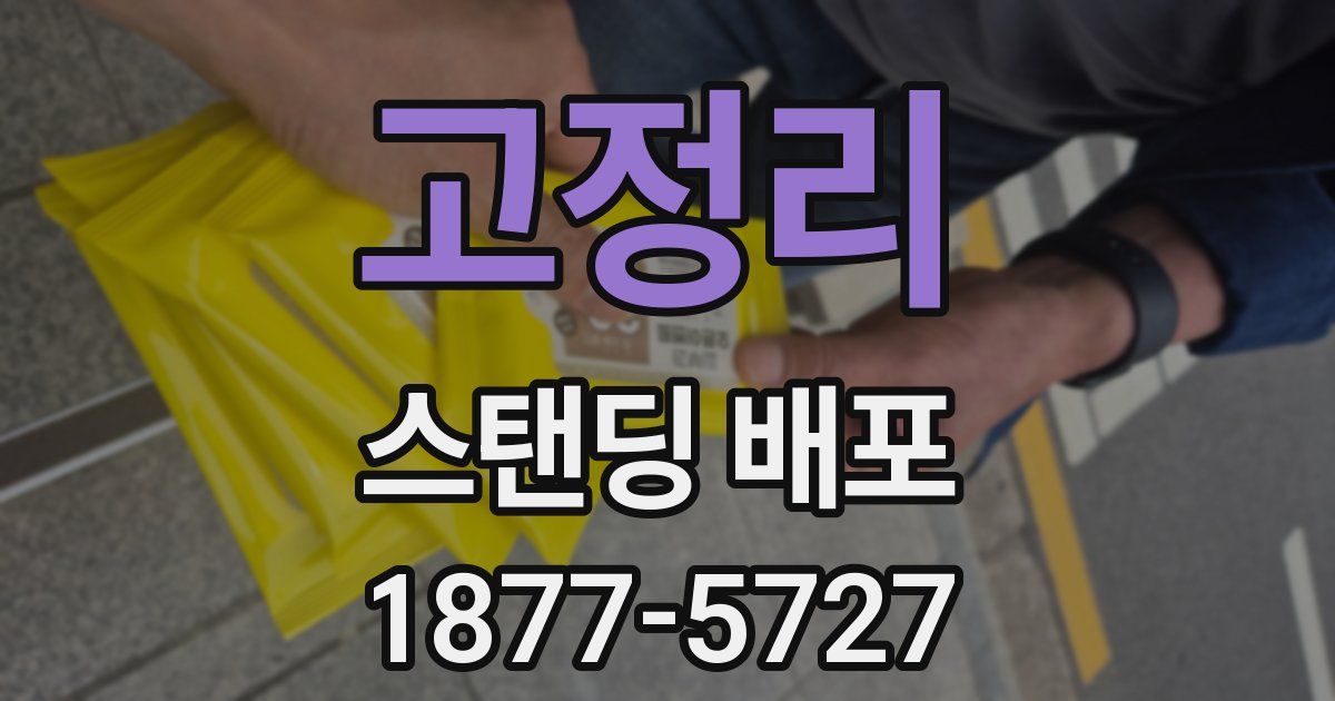 고정리 스탠딩 배포