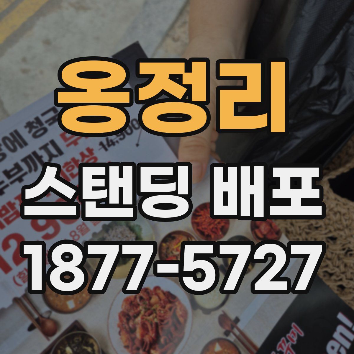 옹정리 스탠딩 배포