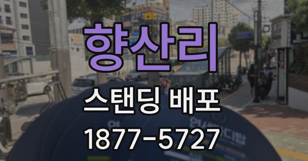 향산리 스탠딩 배포