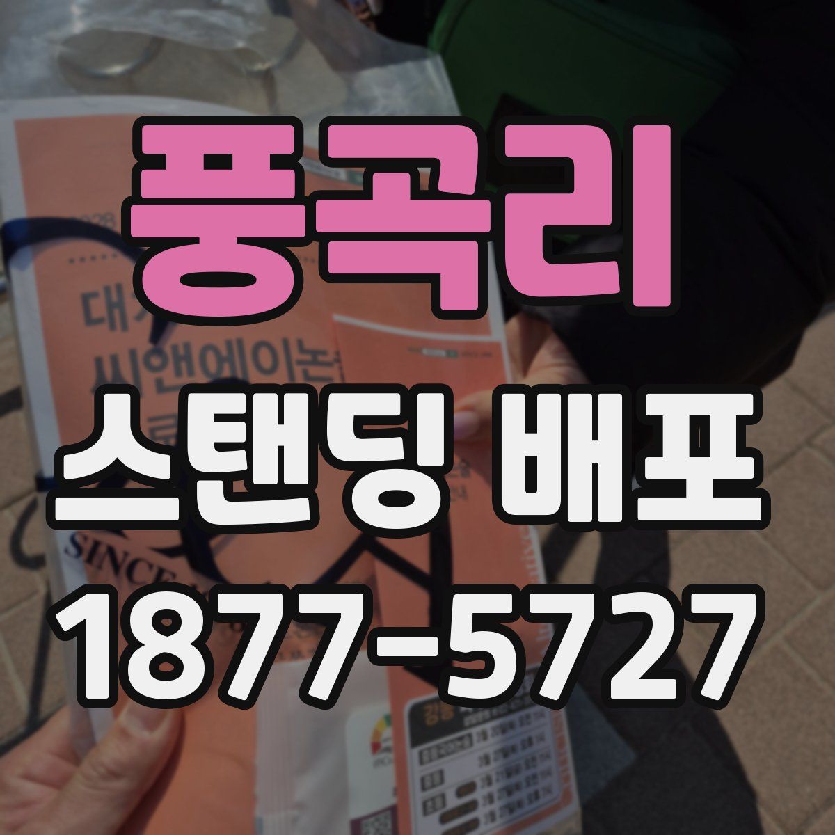 풍곡리 스탠딩 배포