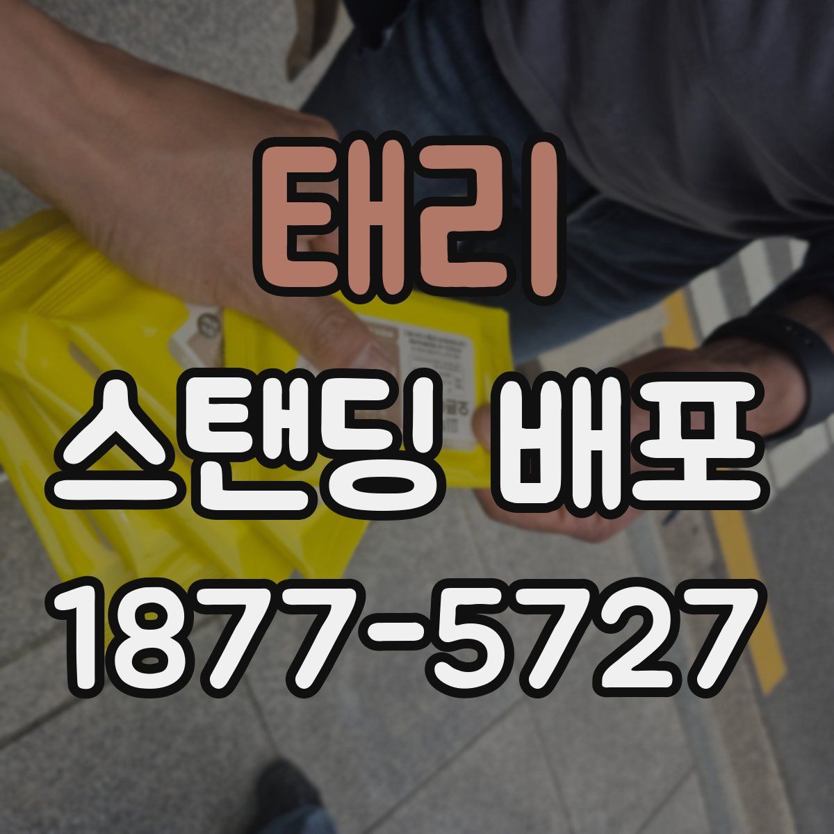 태리 스탠딩 배포